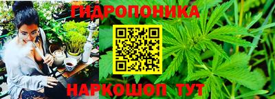 apvp Нарткала