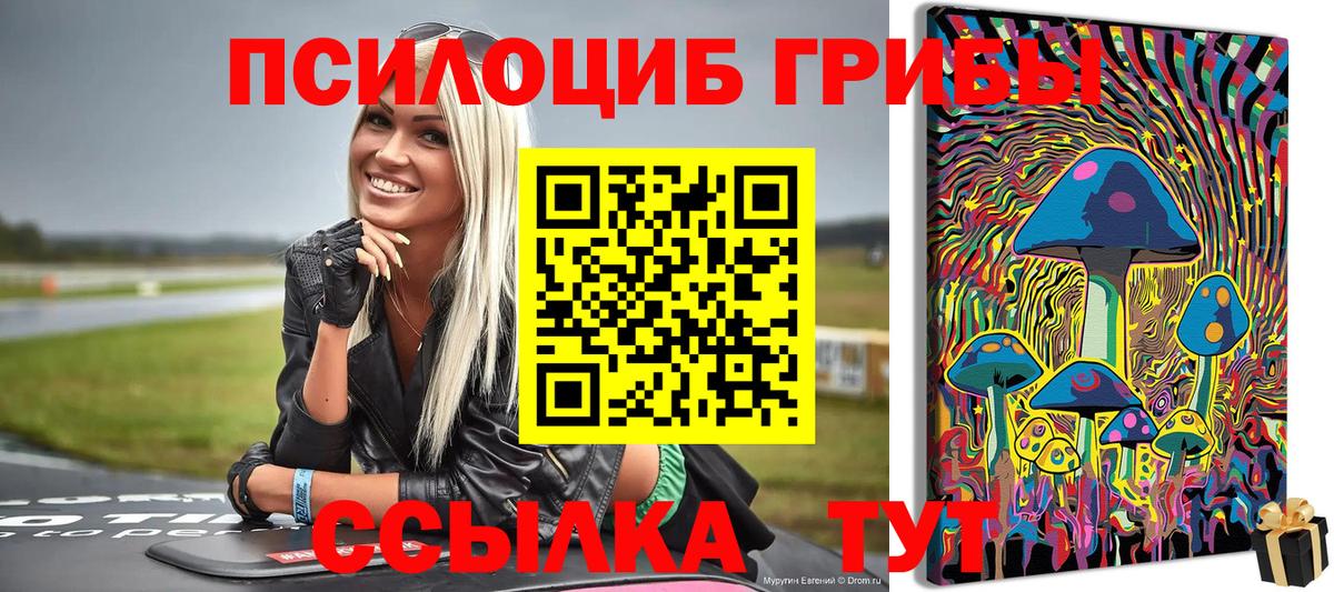 Соль-Илецк  Псилоцибиновые грибы ЛСД  Вход с VPN 